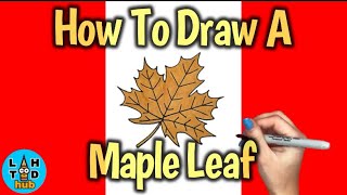 How To Draw A Maple Leaf Step By Step
