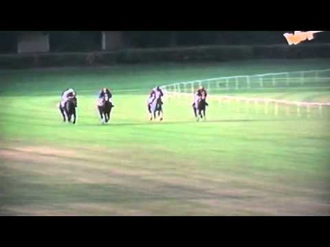 Nagroda Koheilana I - 2.08.1995 - Abisynia (Borysław - Albania)