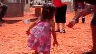 Fiestas de Betera II