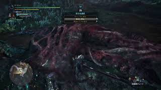 MHW