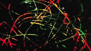 Beat Spacek - 'I Wanna Know' (Seven Davis Jr Midnight Remix )