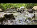 Purest Sounds Of Water For INSTANT Sleep ASMR Water 1Hour