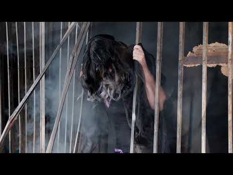 video frame placeholder