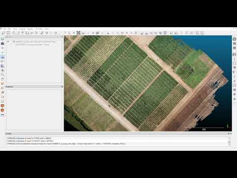 Creating a Canopy Height Model (CHM) and getting plant heights using CloudCompare [Part 1/2]