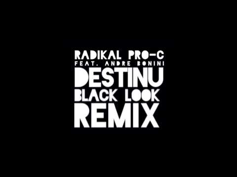 Radikal Pro-C feat.Andre Bonini(Black Look Remix)