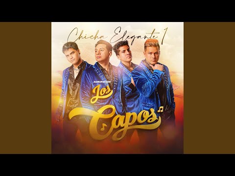 En Tu Trampa Caerás