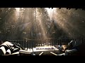 Winter Forest Morning | With Birdsong & Rustling Trees | Relax Or Study | 4Hours | 4K