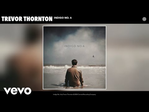 Indigo No 6 - Trevor Thornton