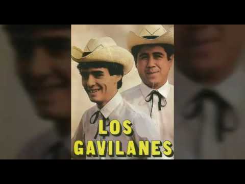 Los Gavilanes - Amor Prohibido (1995)