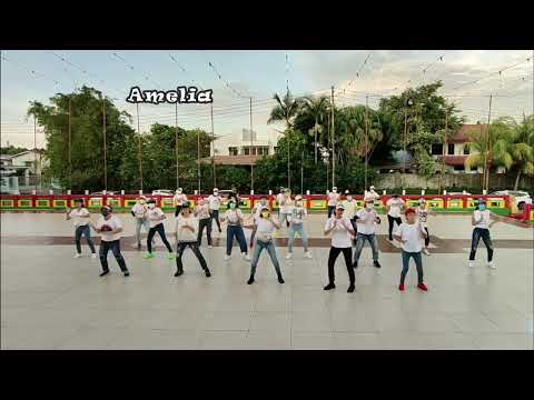 AMELIA(TikTok Viral) by Besa ft Mattyas|lkyy Pahlevii Remix