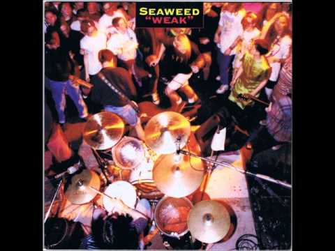 Seaweed - Shut Up!