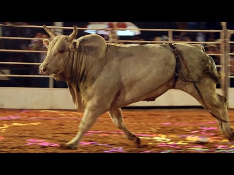 🔵 (SEMI FINAL) Final CRP 2021 / 27ª Festa do Peão de Rinópolis - SP