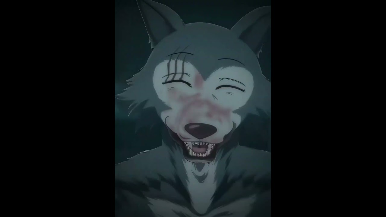 🐺#anime#legoshi#beastars#edit