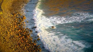 Calming Ocean Waves White Noise | Sleep, Study, Soothe Crying Baby | 10 Hours HD