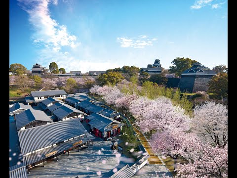 YouTube「桜の馬場城彩苑」公式チャンネル開設！
