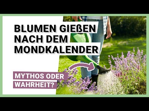 , title : 'Blumen gießen nach dem Mondkalender - Ist tatsächlich was dran?'