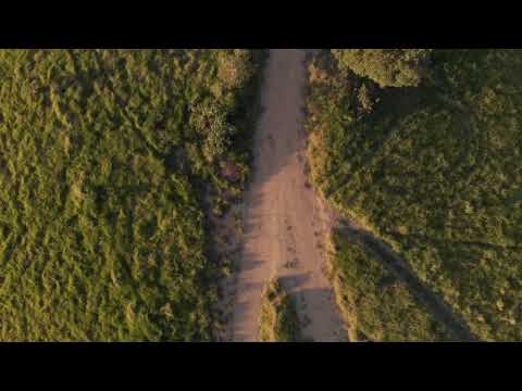 pindan de jaye|| sajjan adeeb|| beautiful nature||punjabi songs||creativity lovers|| nature lovers 🥰