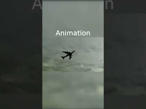 Animation vs Real Life - National Airlines Flight 102 #planecrash
