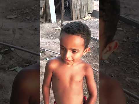 RANCHO DO CARRETEIRO BELEM ALAGOAS BRASIL