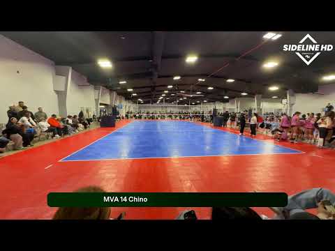 MVA 14 Chino (2026.01.31)