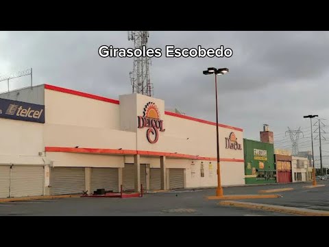 List of Stores in El Sol, Nuevo León, August 2023