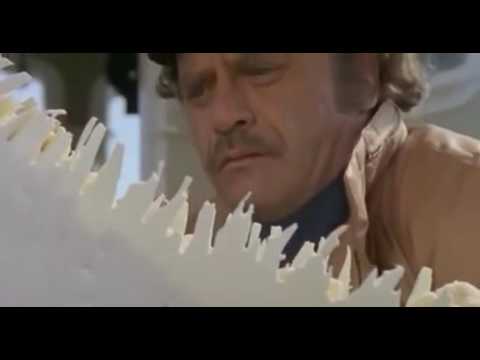 L'Ultimo Squalo 1981