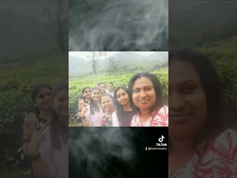 HESHANI CAKES AND ACADEMY #luxurycakes #cake #trending #trendingshorts  #cakedecorating #food #trip