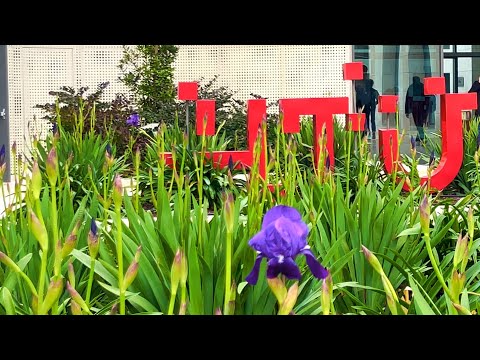 Al-Hussein Technical University - New Buildings