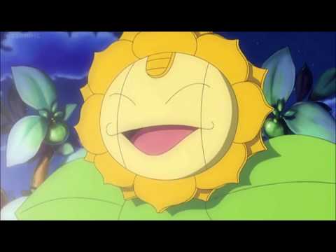 Meowth's Sunflora Costume Makes A Return - Three Sides To Every Story