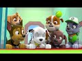 Paw Patrol Elevator Sequence S01E22 In Reversed