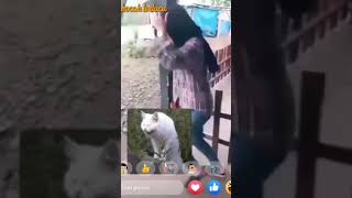Download lagu Seorang cewek berteduh karena hujan #short #shortlucu mp3