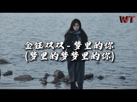 金钰双双 - 梦里的你 (梦里的梦梦里的你）『梦里的爱离我远去，梦里的人藏在心底。』【动态歌词MV】