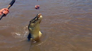 You Do Not Want to Fall in This Croc-Infested River | Smithsonian ...