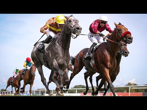 Baden-Baden: 153. Wettstar.de Grosser Preis von Baden 2023 Sieger: Zagrey