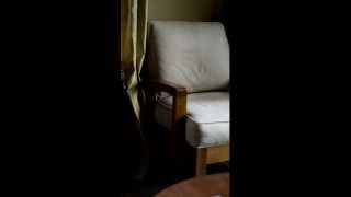 Chair North Raleigh Craigslist