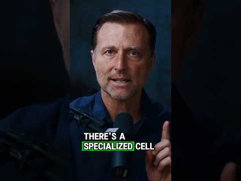 High Doses of Vitamin D3 for 14 Days