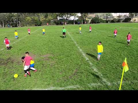 BrasilStarsVsGalitosFCjan20