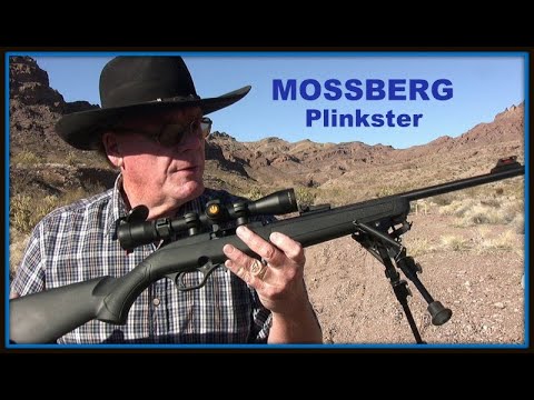 Mossberg 702 Plinkster .22 Rifle - Best $120 I Ever Spent !!!