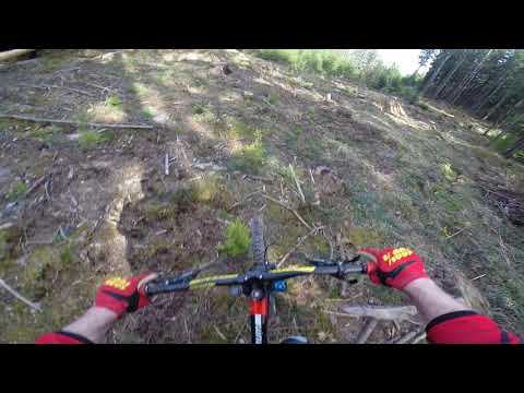 Hirschberg 8 4 2018  Hometrail Riding