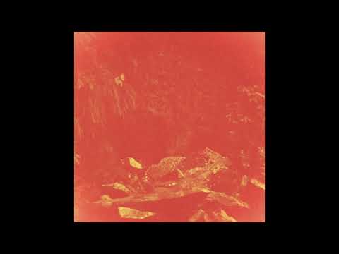 Disrupt - Sebastian Davidson Remix (Official Audio)