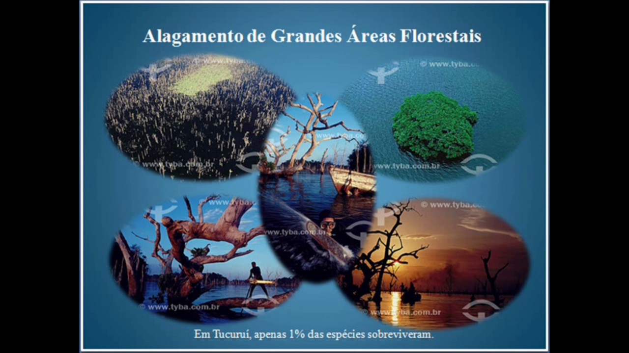 Impactos socioambientais provocados pelas hidrelétricas