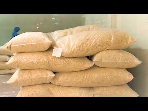 Value chain of Onion