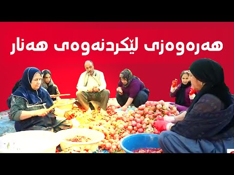 ڤیدیۆ | هەورامان.. هەرەوەزی لێکردنەوەی هەنار و دروستکردنی سرکە