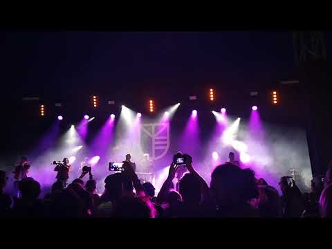 01 WOMAD 2019 - Meute