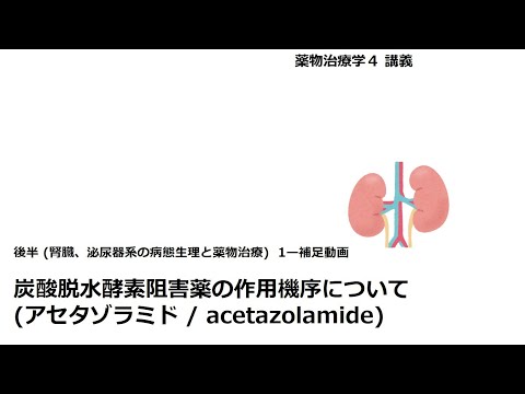 アセタゾラミドについて詳しく解説