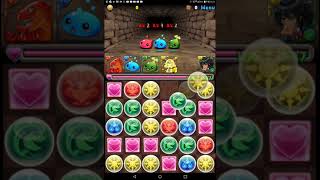 パズドラ初実況チュウとリアル
