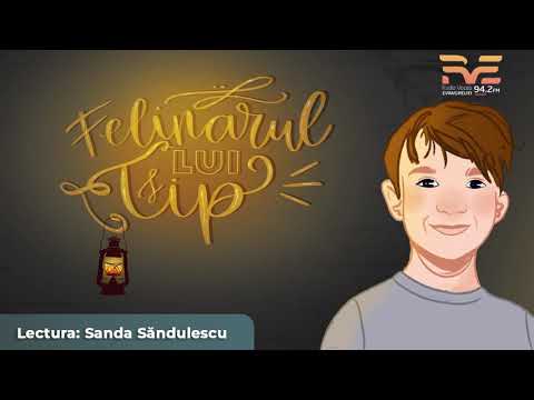 Povestea de seara - Felinarul lui Tip - ep. 1