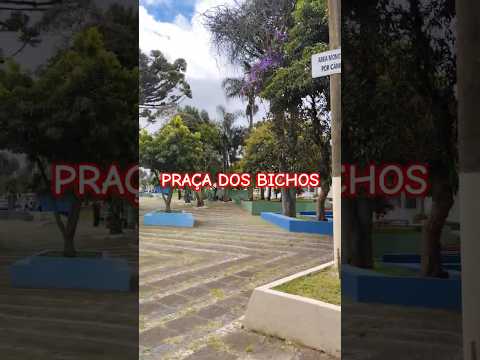 PONTA GROSSA PARANÁ BRASIL BRAZIL