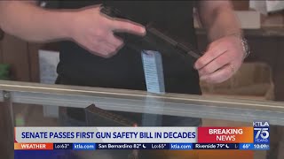 Senate passes bipartisan gun legislation