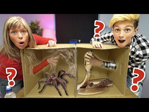 What's in the BOX Challenge!!!!!!! (ANIMALS)